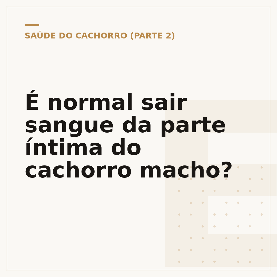 É normal sair sangue da parte íntima do cachorro macho?