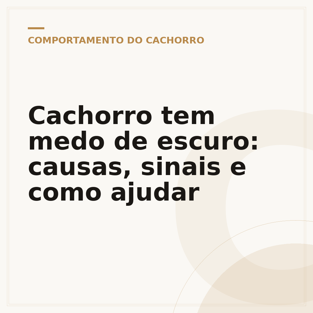 Cachorro tem medo de escuro: causas, sinais e como ajudar