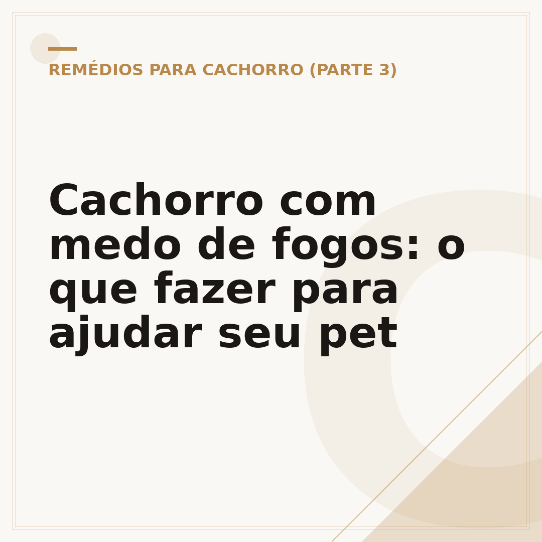 Cachorro com medo de fogos: o que fazer para ajudar seu pet