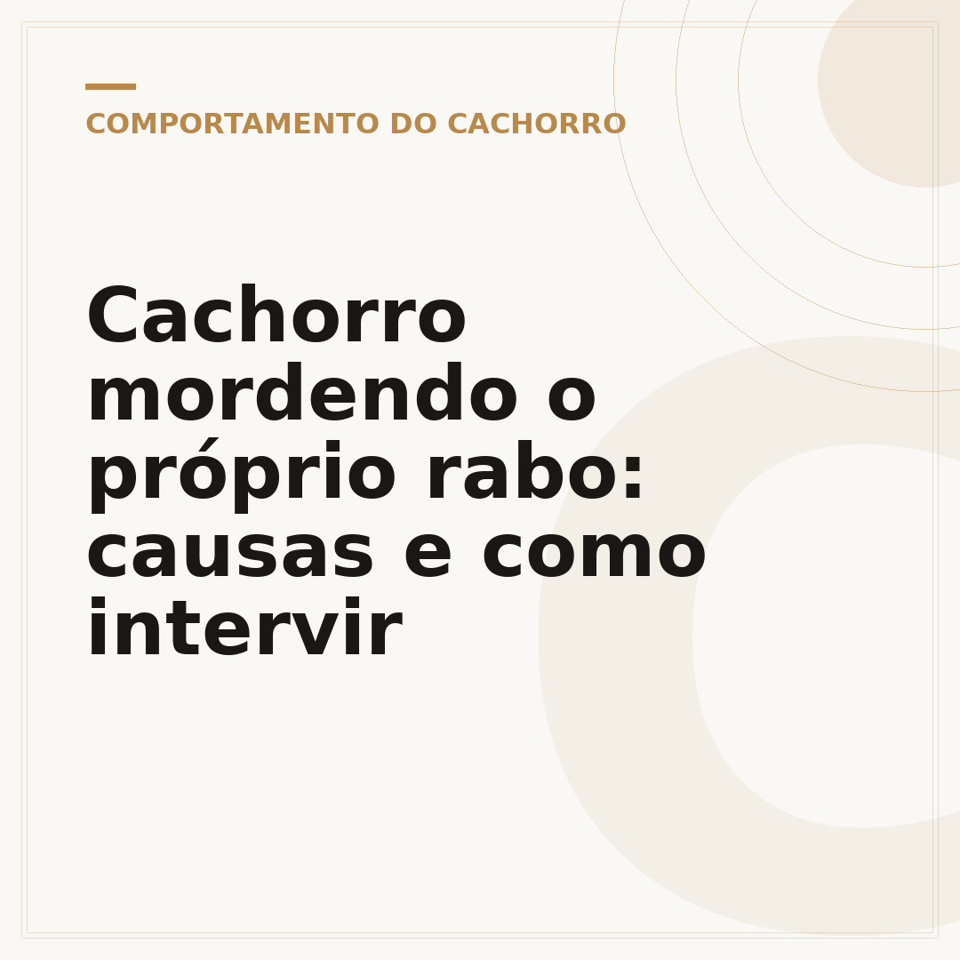 Cachorro mordendo o próprio rabo: causas e como intervir