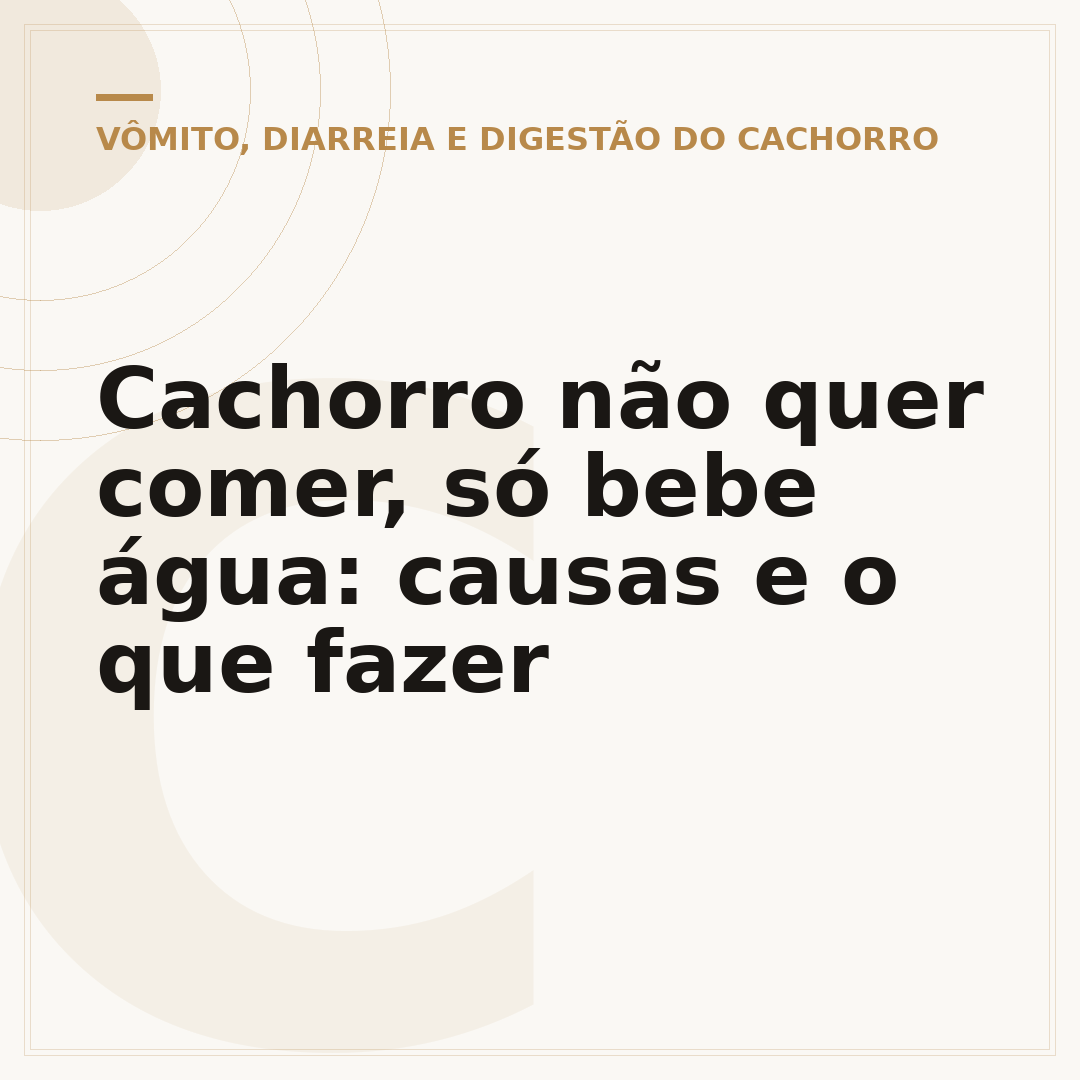 Cachorro não quer comer, só bebe água: causas e o que fazer