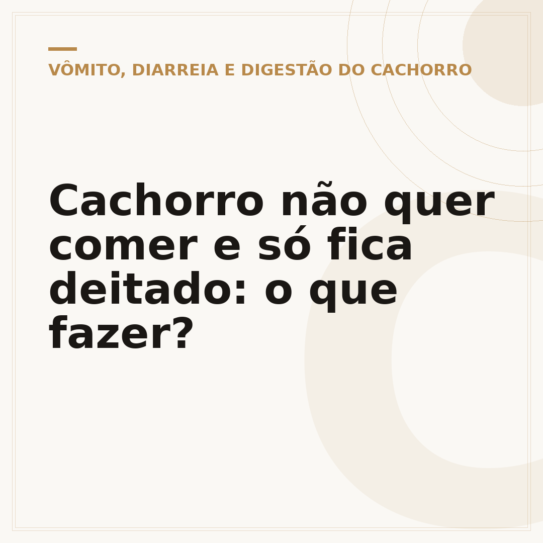 Cachorro não quer comer e só fica deitado: o que fazer?