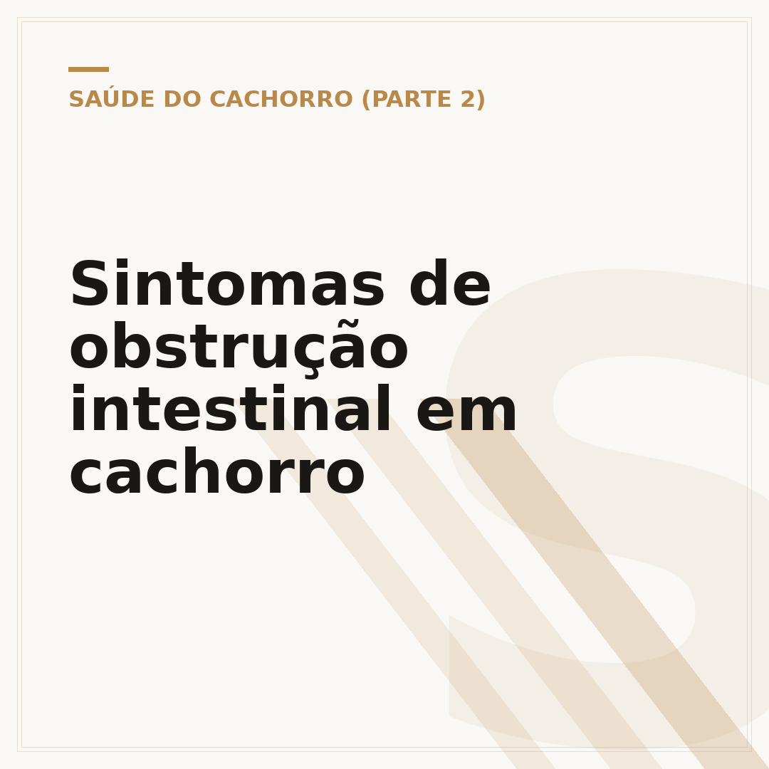 Sintomas de obstrução intestinal em cachorro