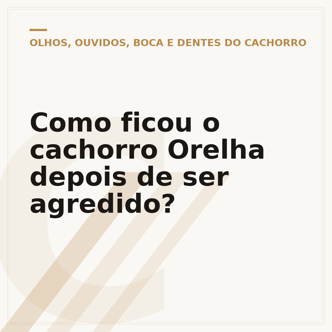 Como ficou o cachorro Orelha depois de ser agredido?