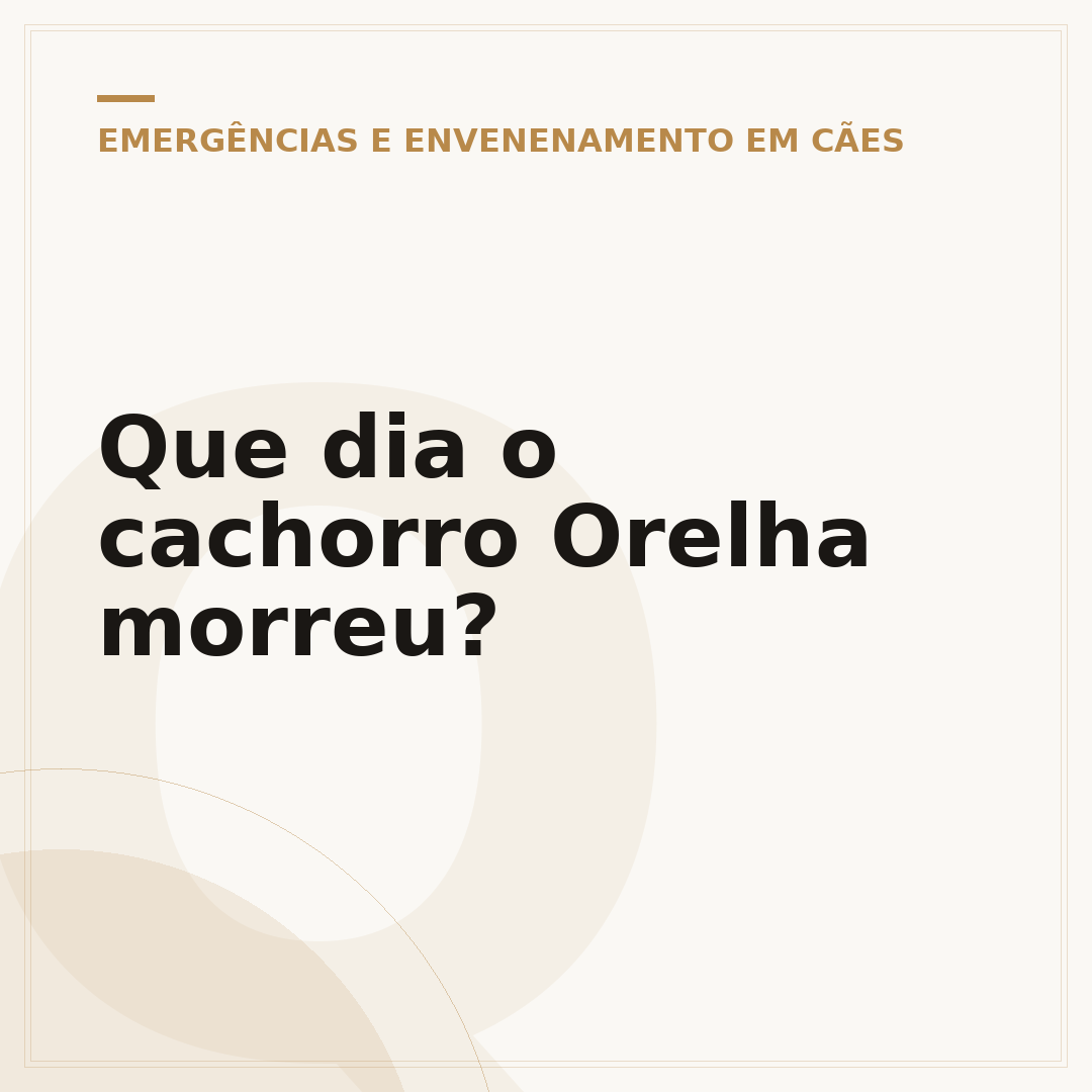 Que dia o cachorro Orelha morreu?