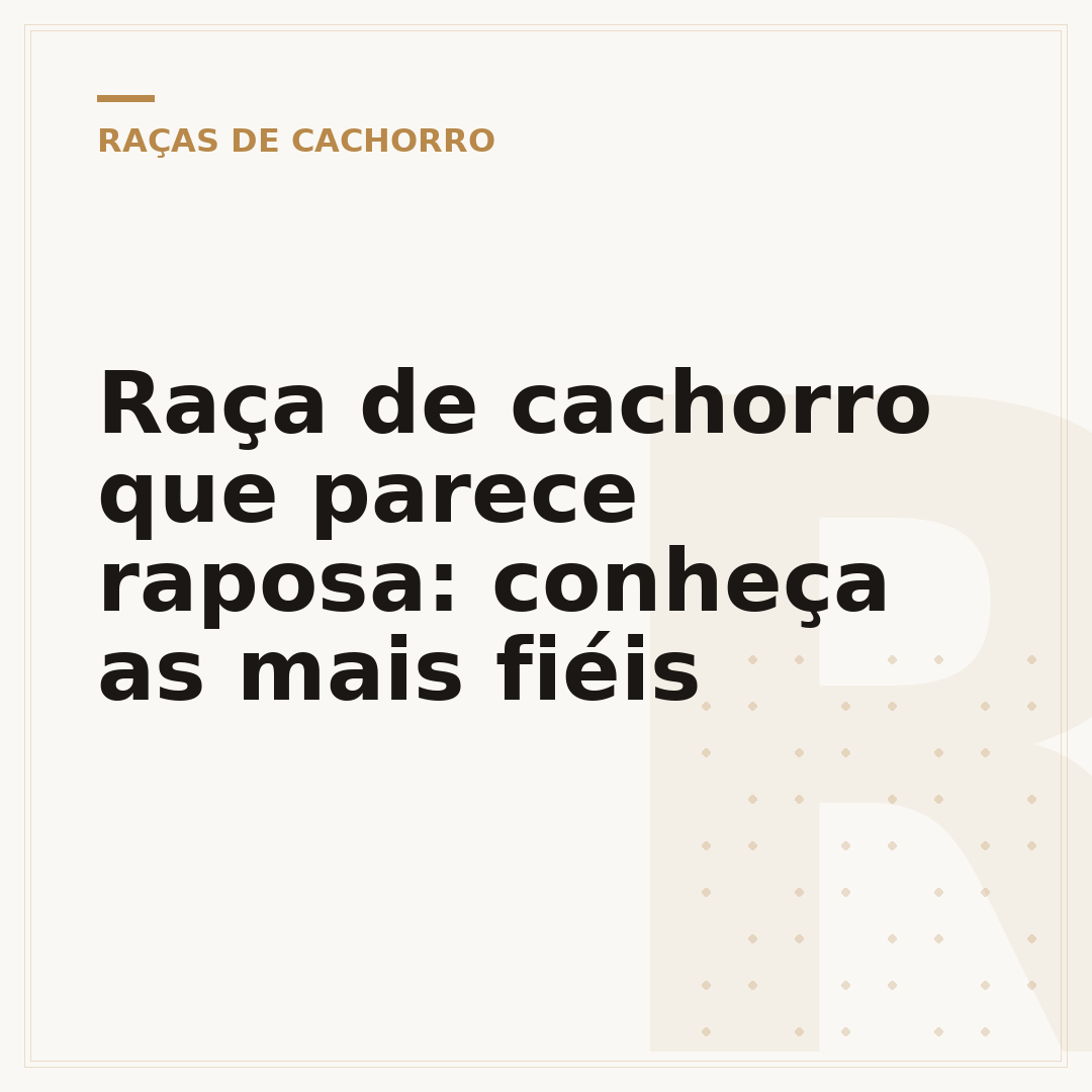 Raça de cachorro que parece raposa: conheça as mais fiéis