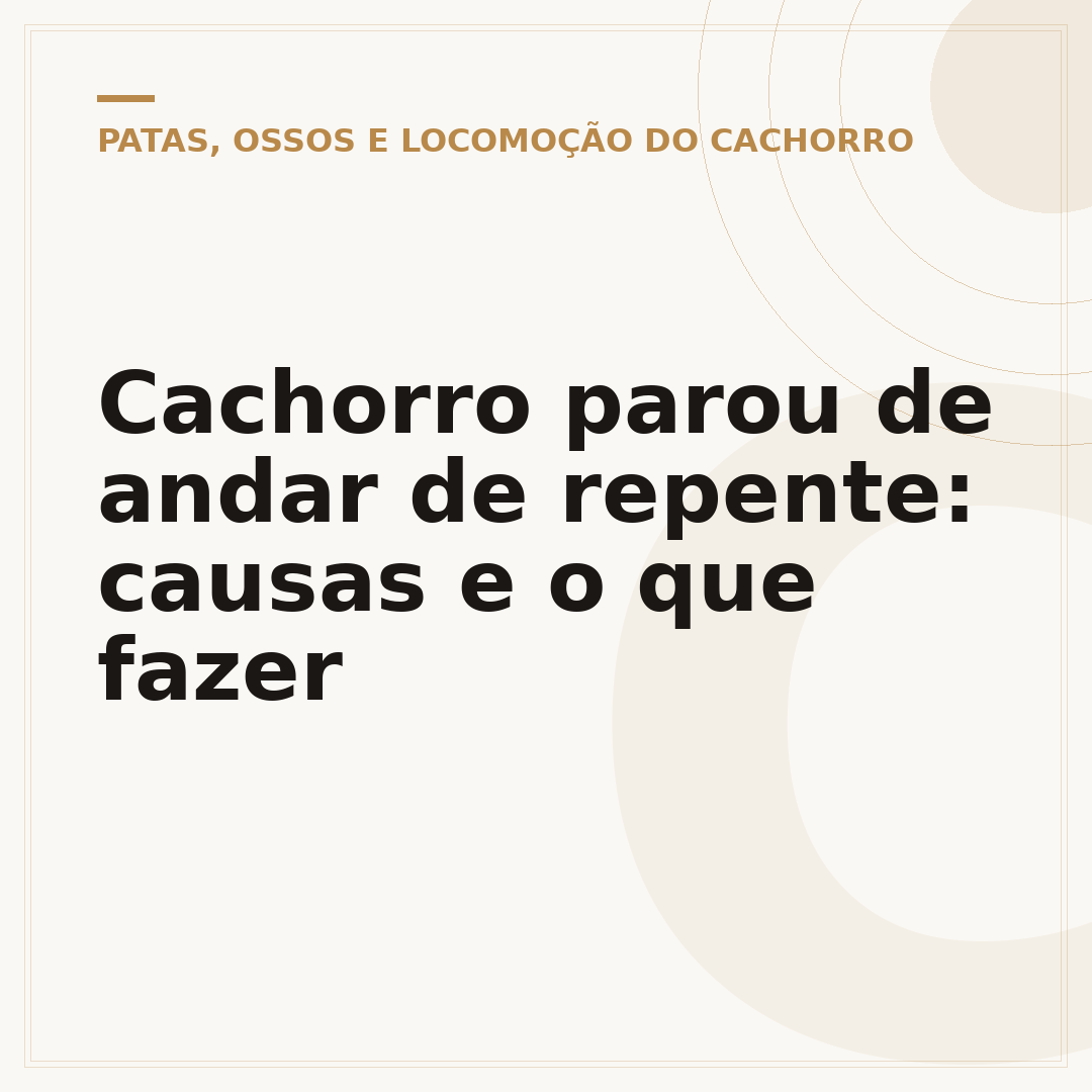 Cachorro parou de andar de repente: causas e o que fazer
