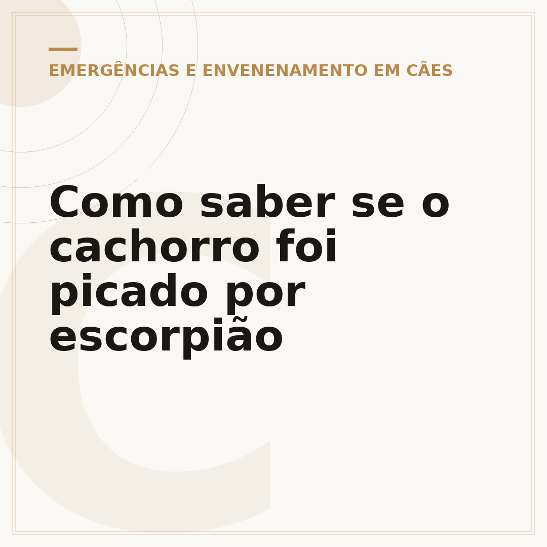Como saber se o cachorro foi picado por escorpião
