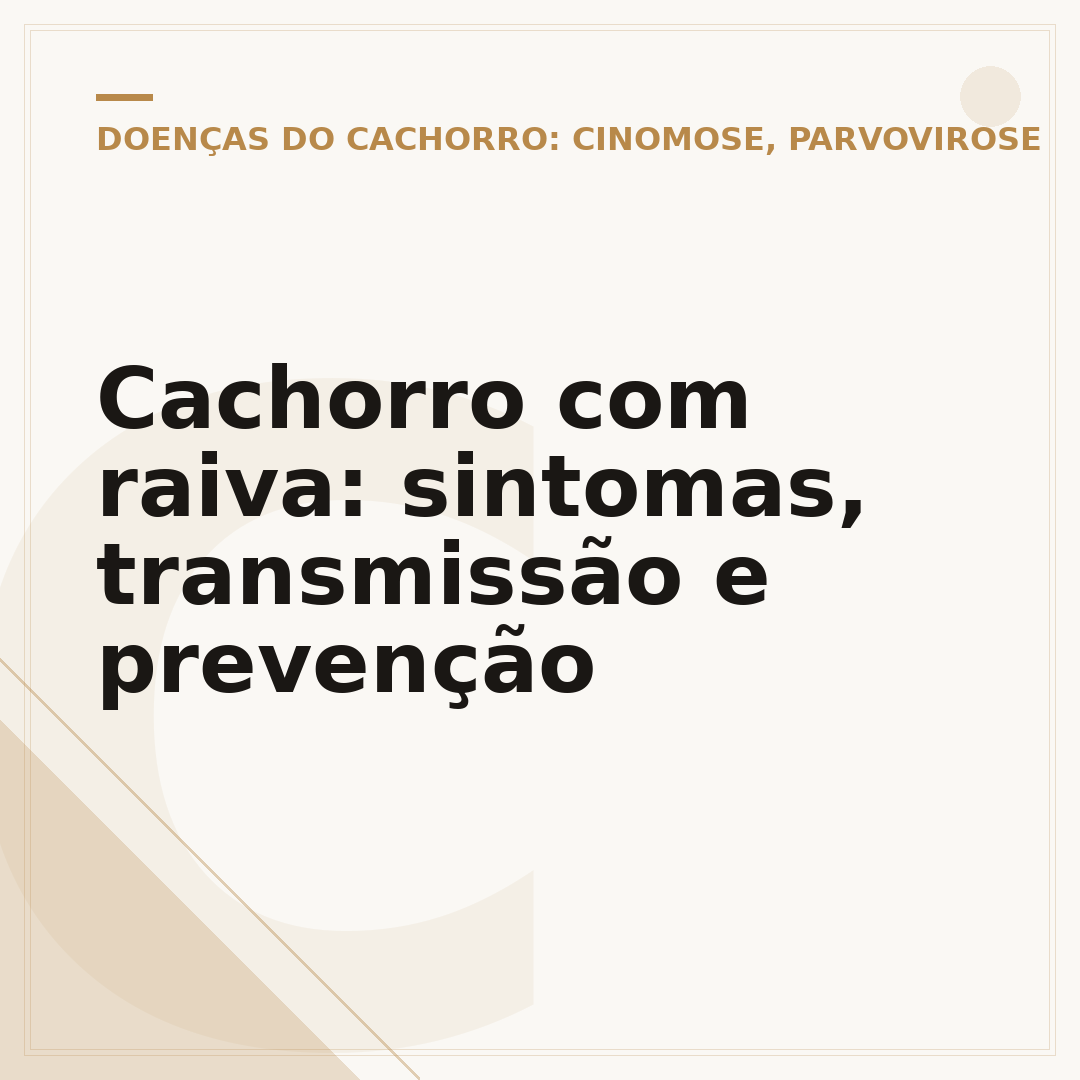 Cachorro com raiva: sintomas, transmissão e prevenção