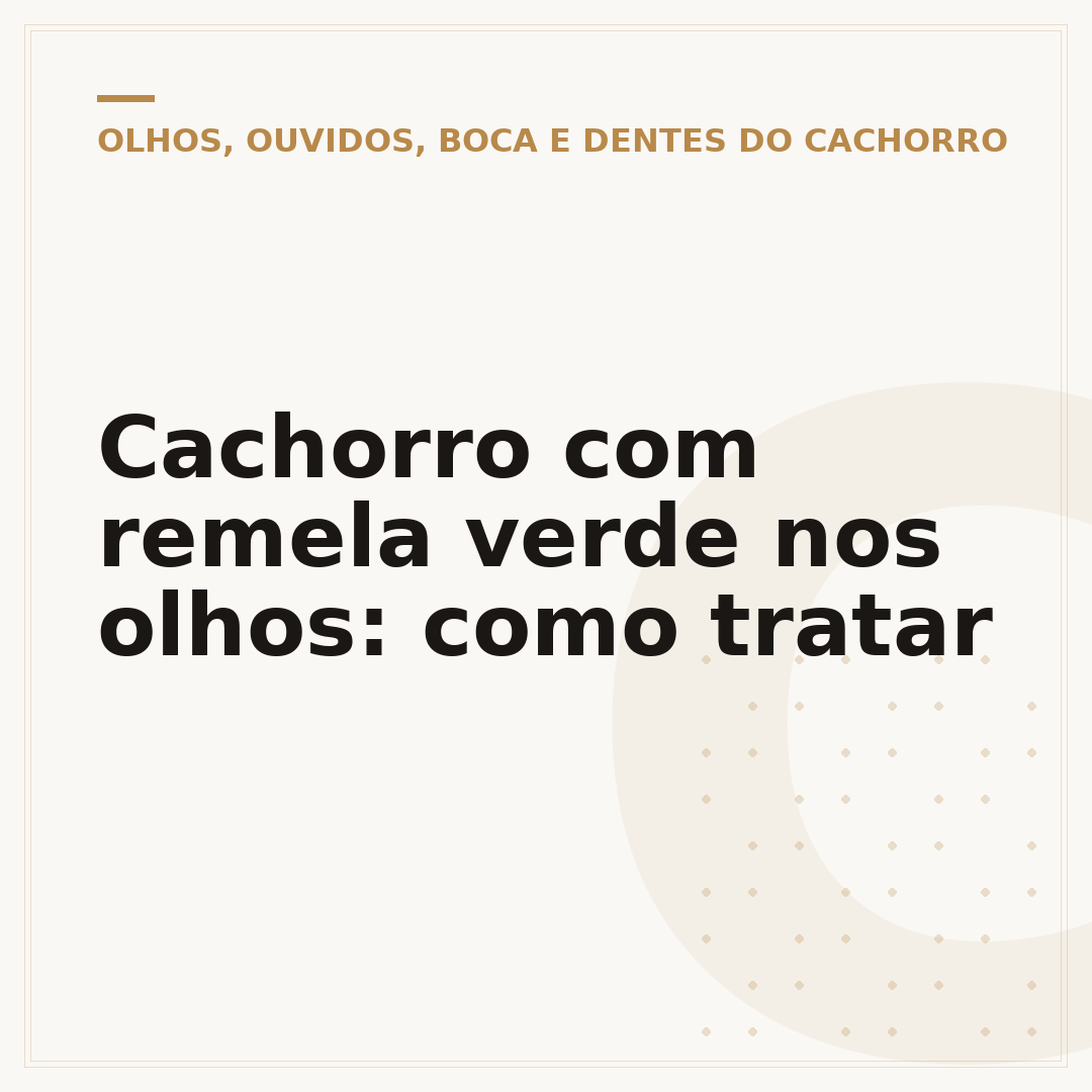 Cachorro com remela verde nos olhos: como tratar