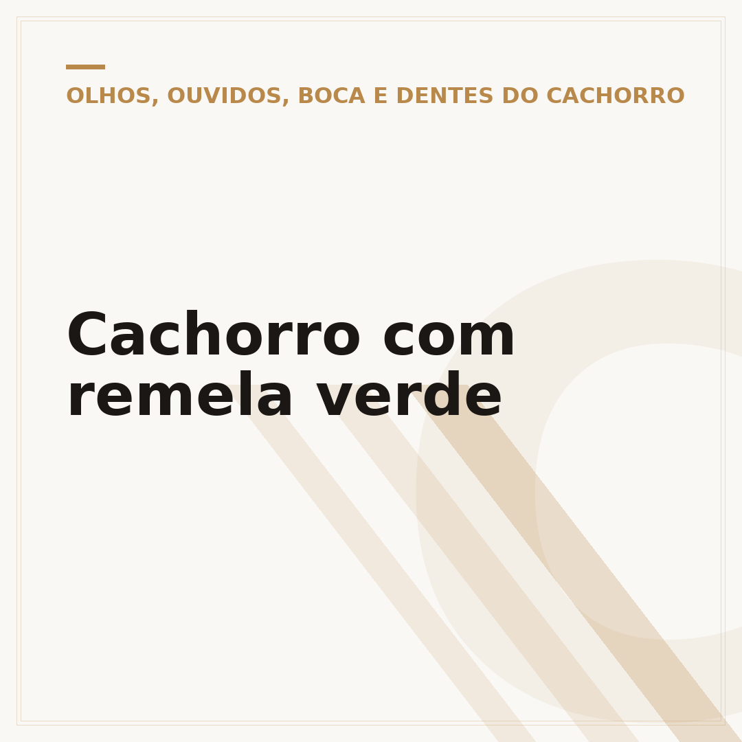 Cachorro com remela verde