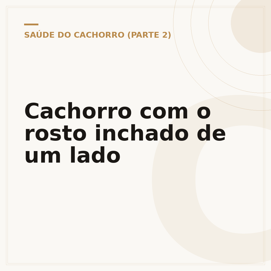 Cachorro com o rosto inchado de um lado