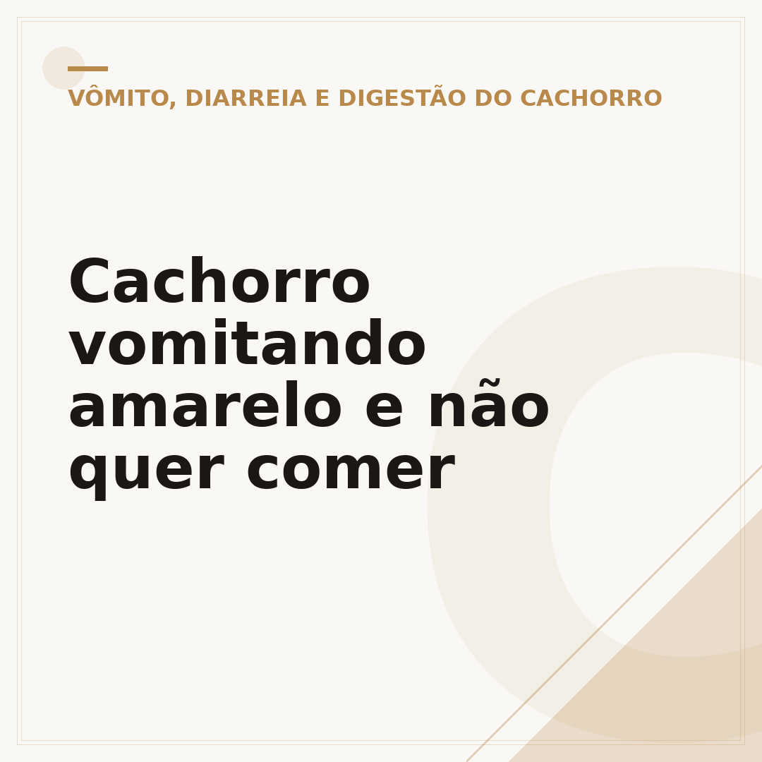 Cachorro vomitando amarelo e não quer comer