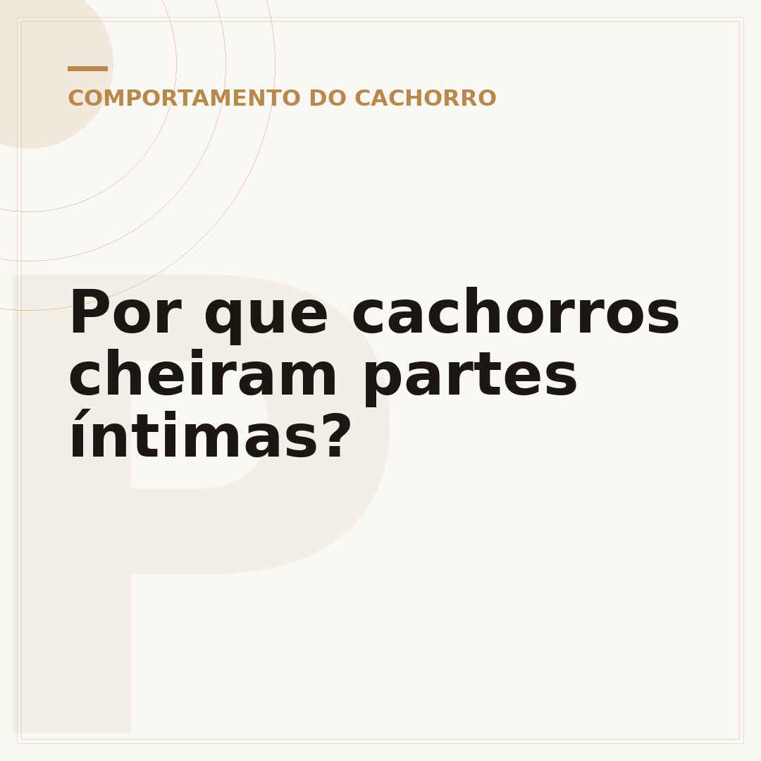 Por que cachorros cheiram partes íntimas?