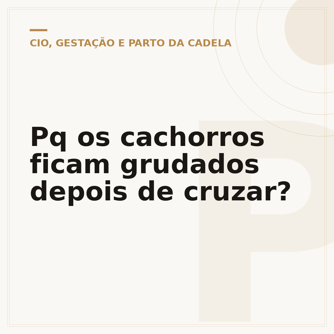 Pq os cachorros ficam grudados depois de cruzar?