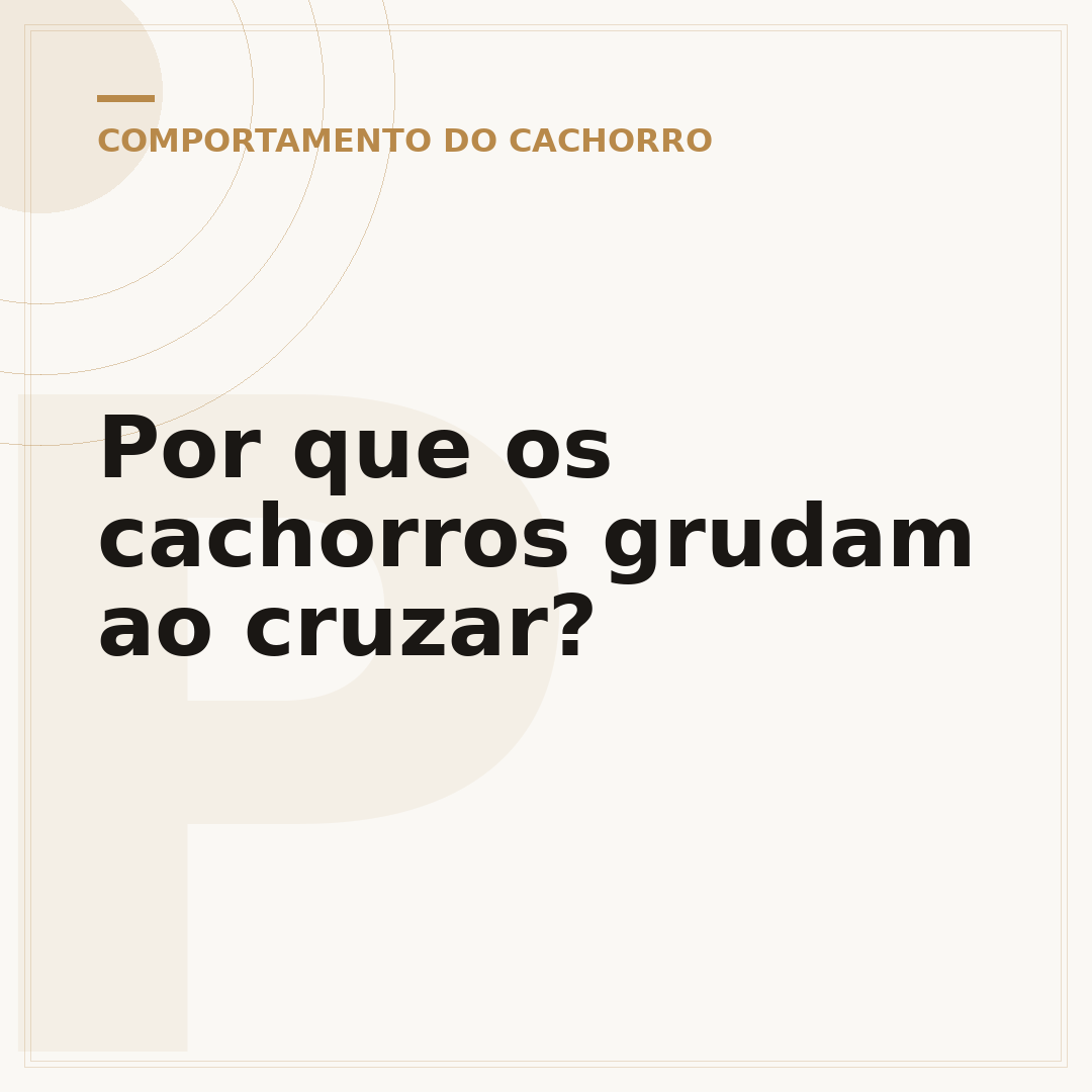 Por que os cachorros grudam ao cruzar?