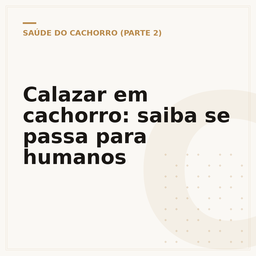 Calazar em cachorro: saiba se passa para humanos