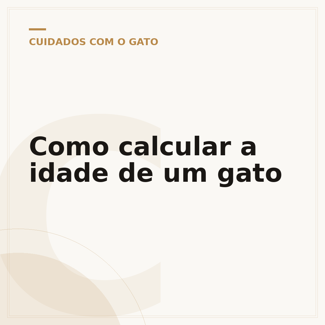 Como calcular a idade de um gato