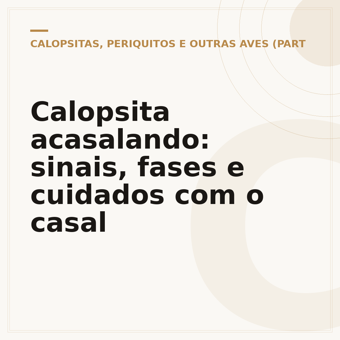 Calopsita acasalando: sinais, fases e cuidados com o casal