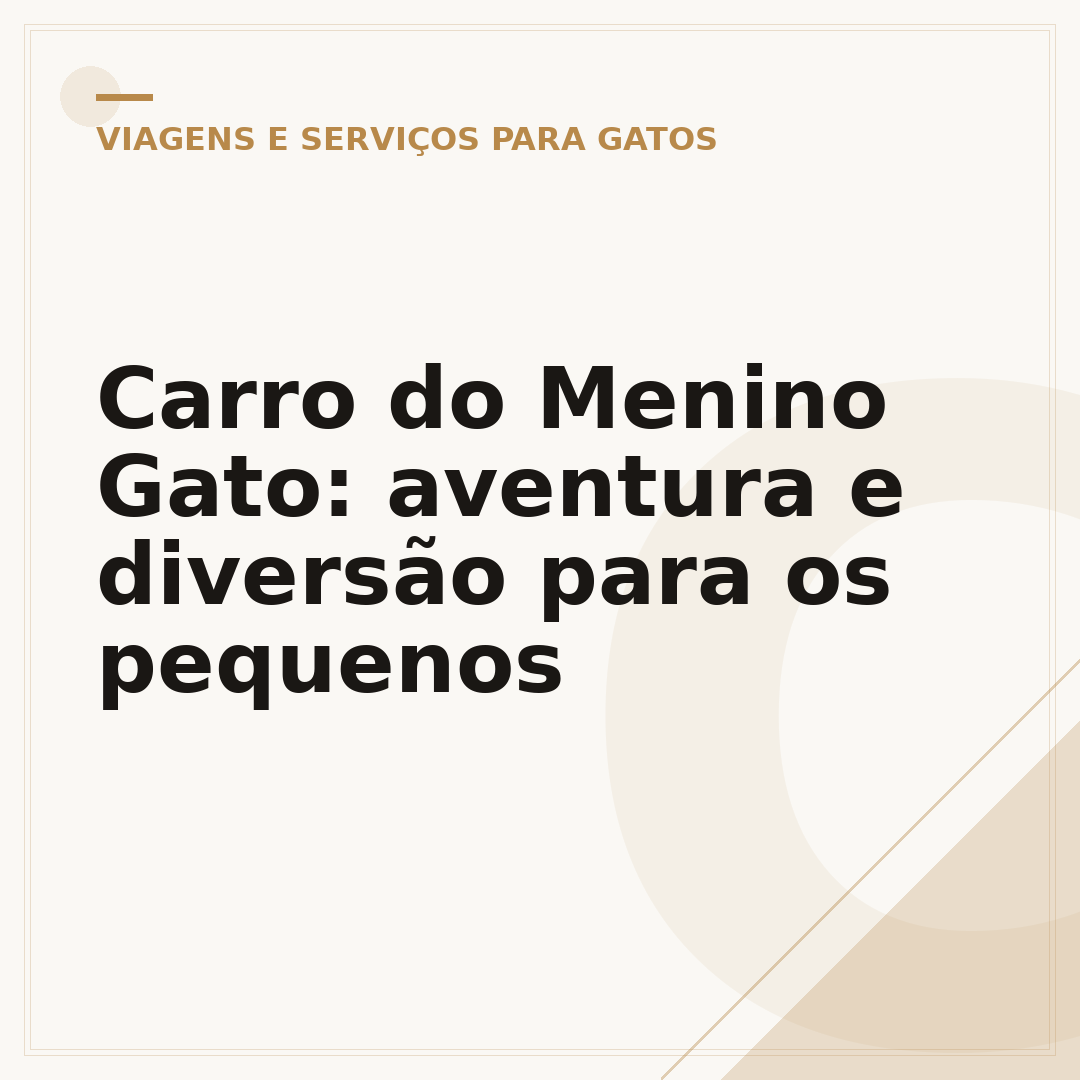Carro do Menino Gato: aventura e diversão para os pequenos