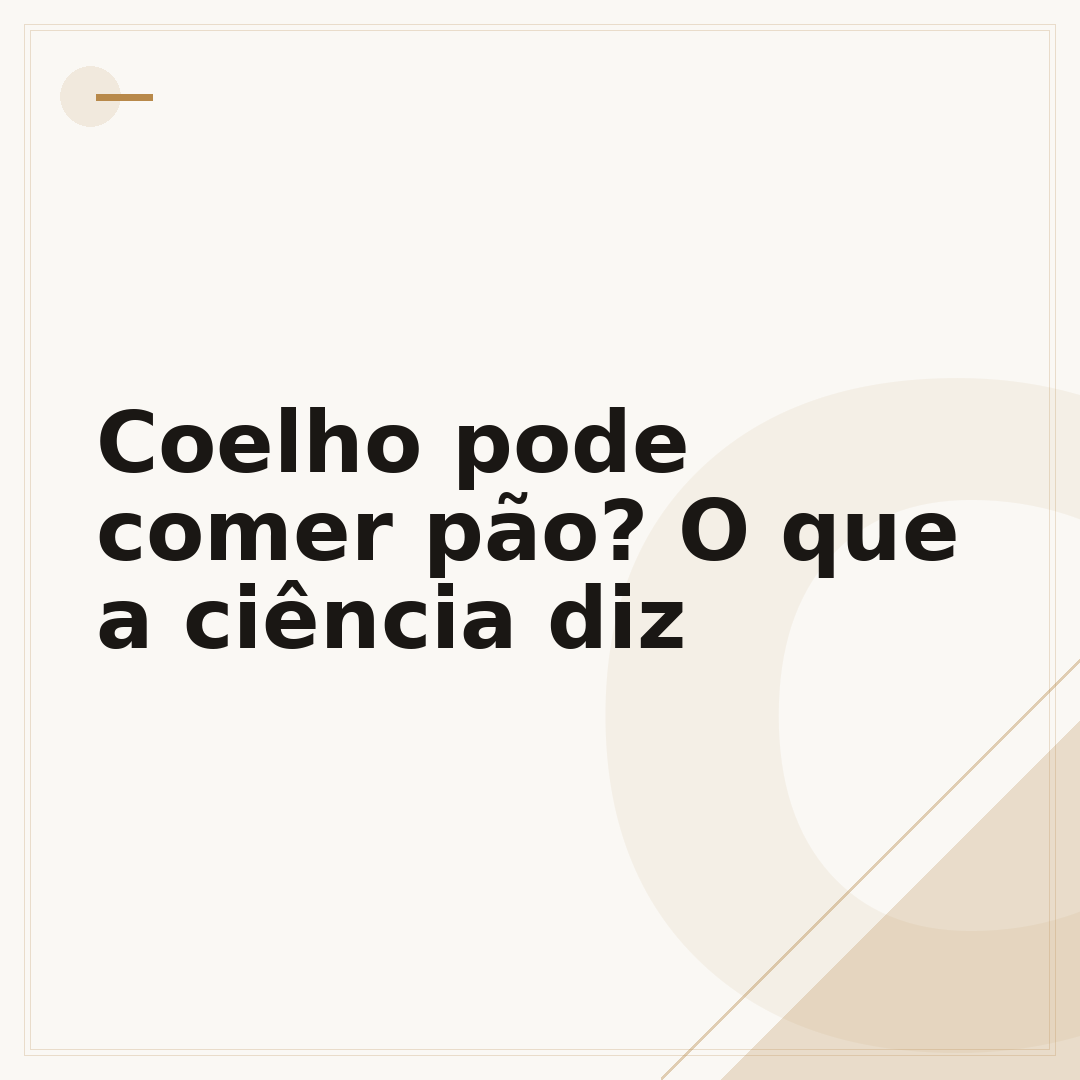 Coelho pode comer pão? O que a ciência diz