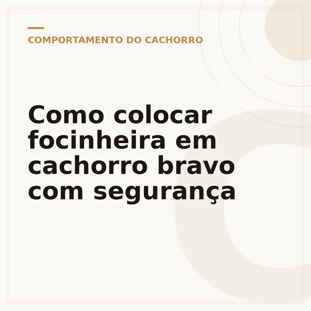 Como colocar focinheira em cachorro bravo com segurança