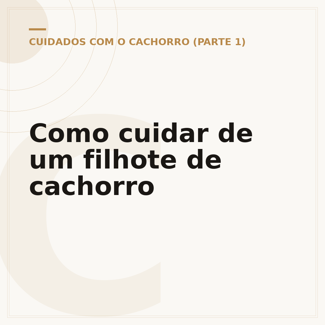 Como cuidar de um filhote de cachorro