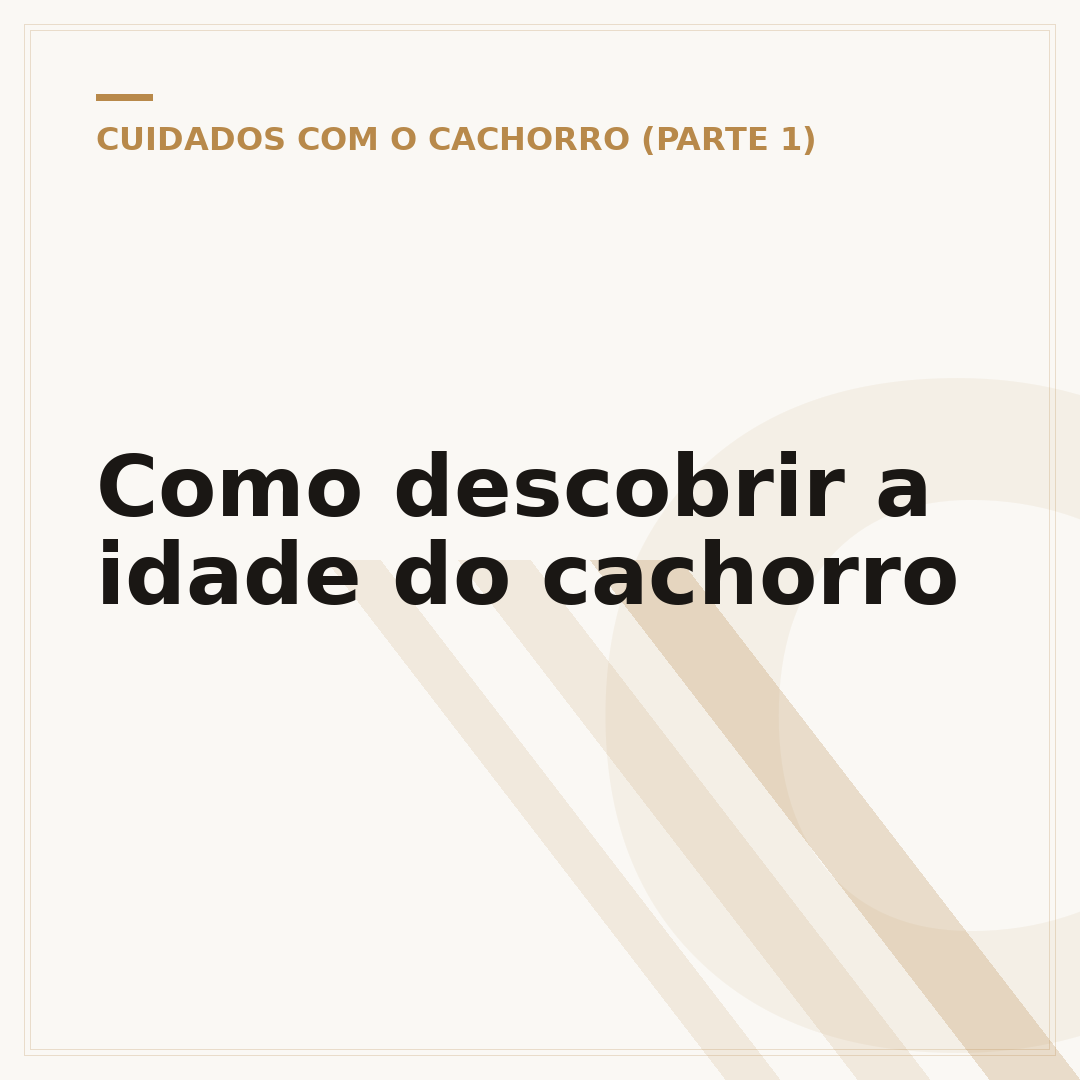 Como descobrir a idade do cachorro