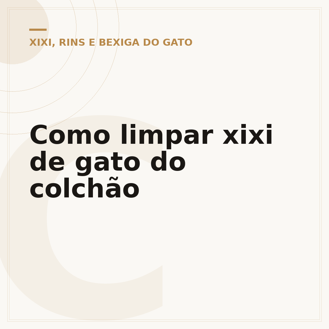 Como limpar xixi de gato do colchão