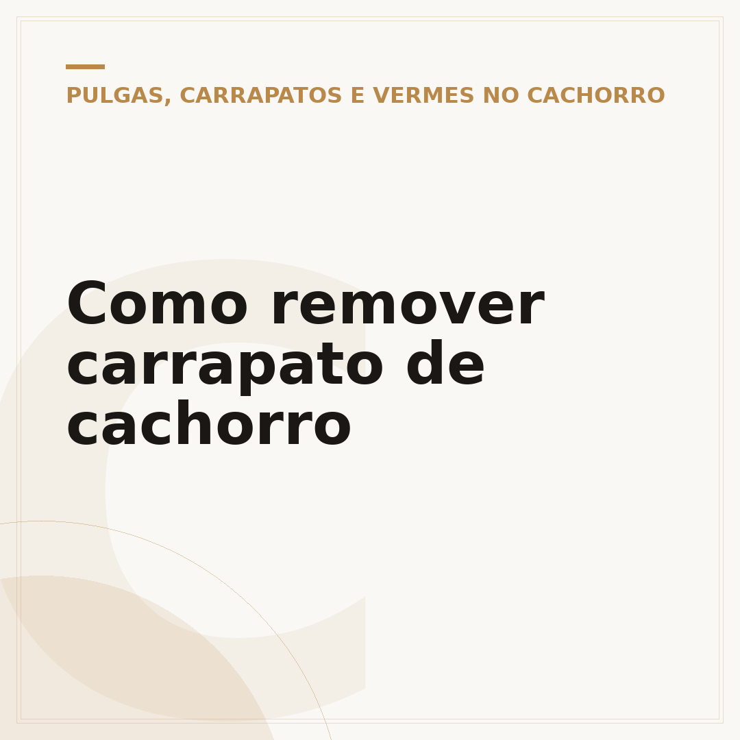 Como remover carrapato de cachorro