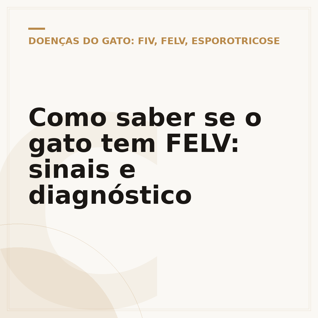 Como saber se o gato tem FELV: sinais e diagnóstico