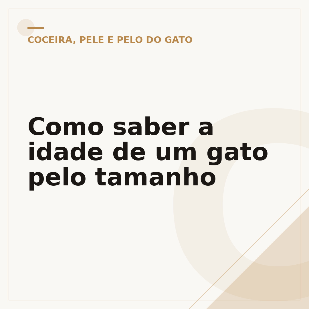 Como saber a idade de um gato pelo tamanho
