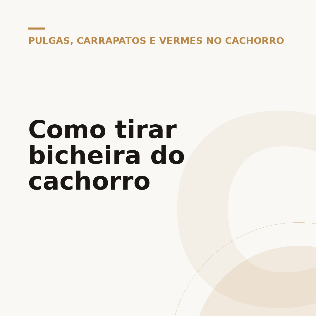 Como tirar bicheira do cachorro