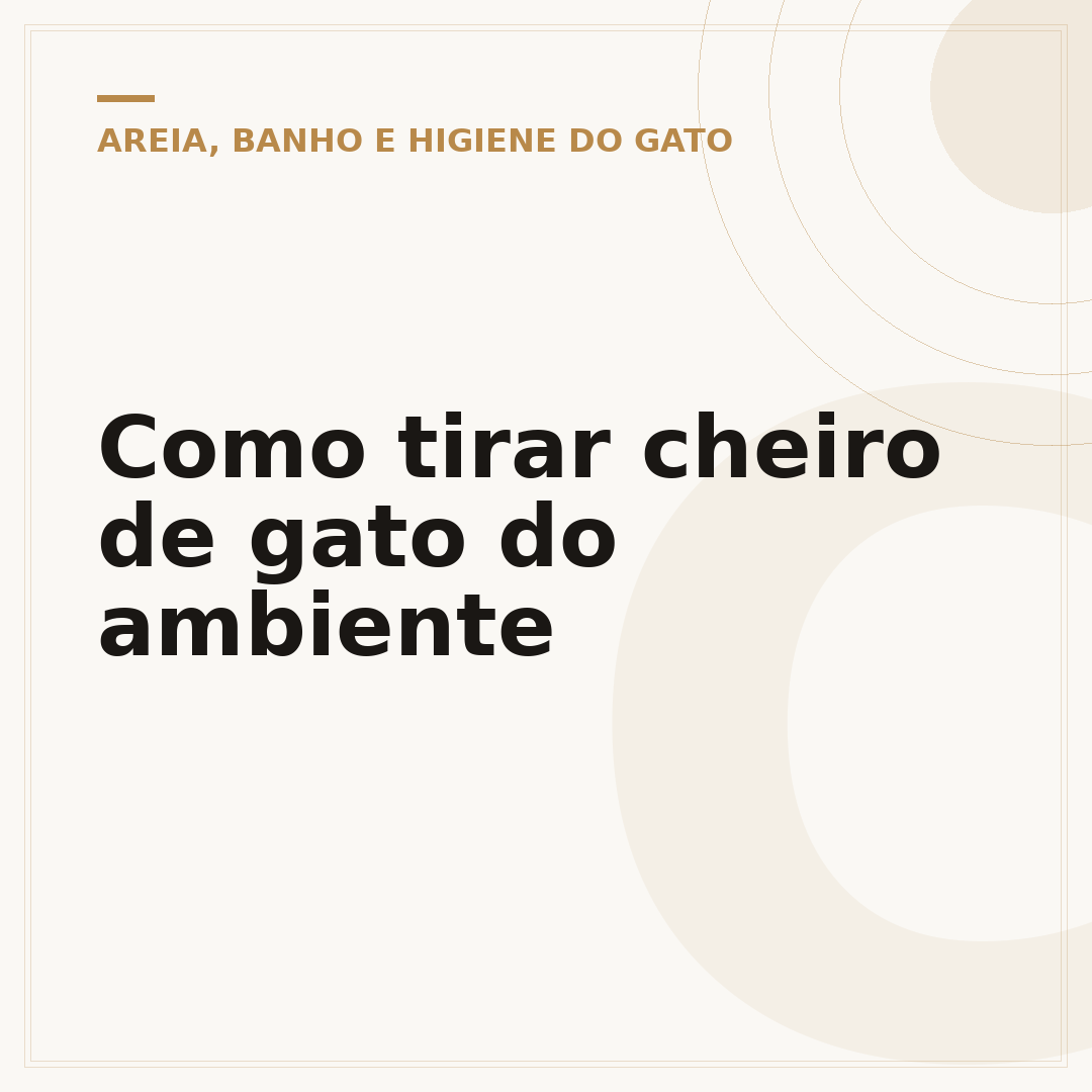 Como tirar cheiro de gato do ambiente