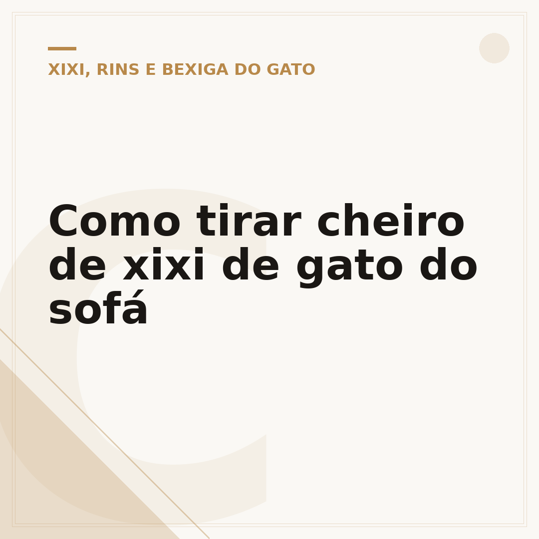 Como tirar cheiro de xixi de gato do sofá