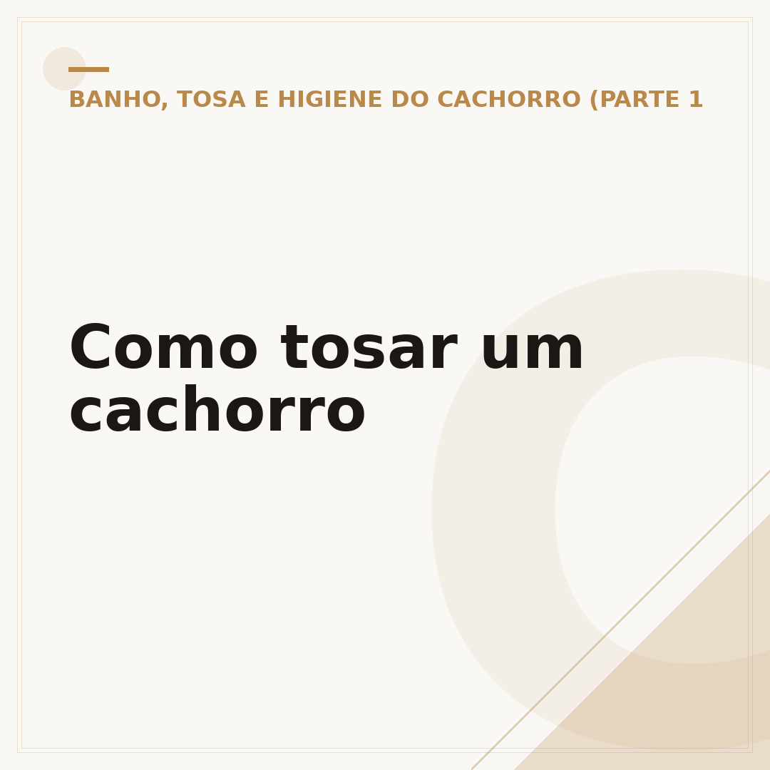 Como tosar um cachorro