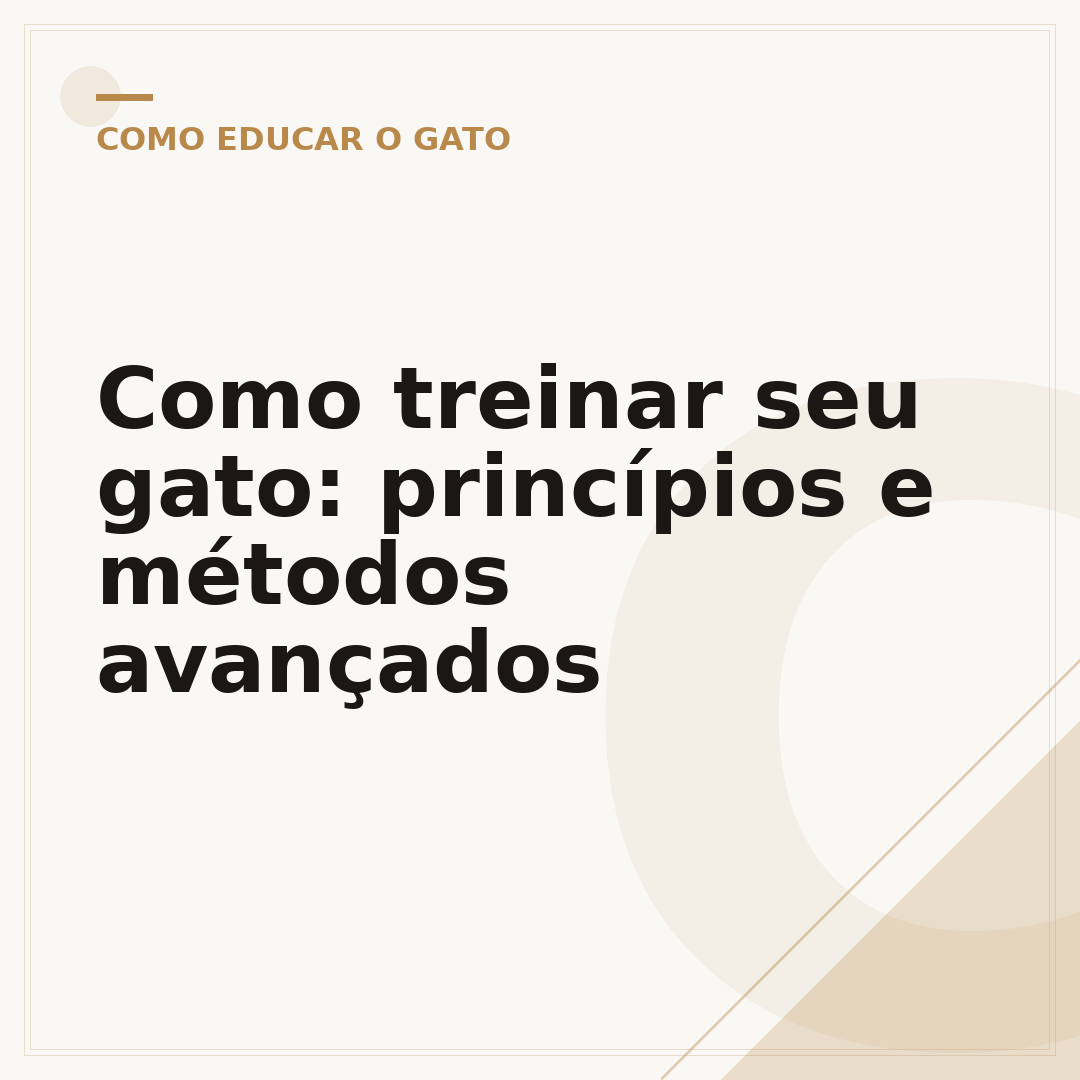 Como treinar seu gato: princípios e métodos avançados