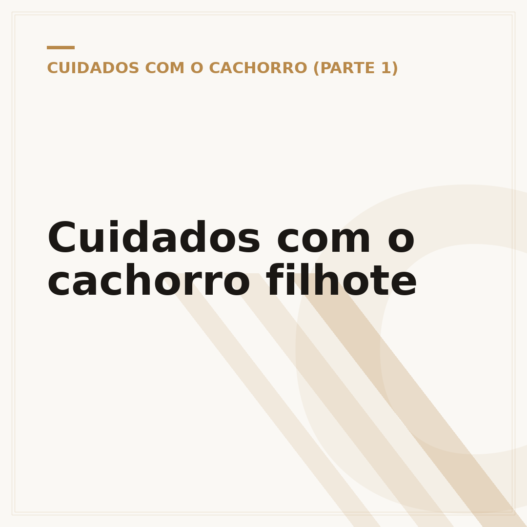 Cuidados com o cachorro filhote