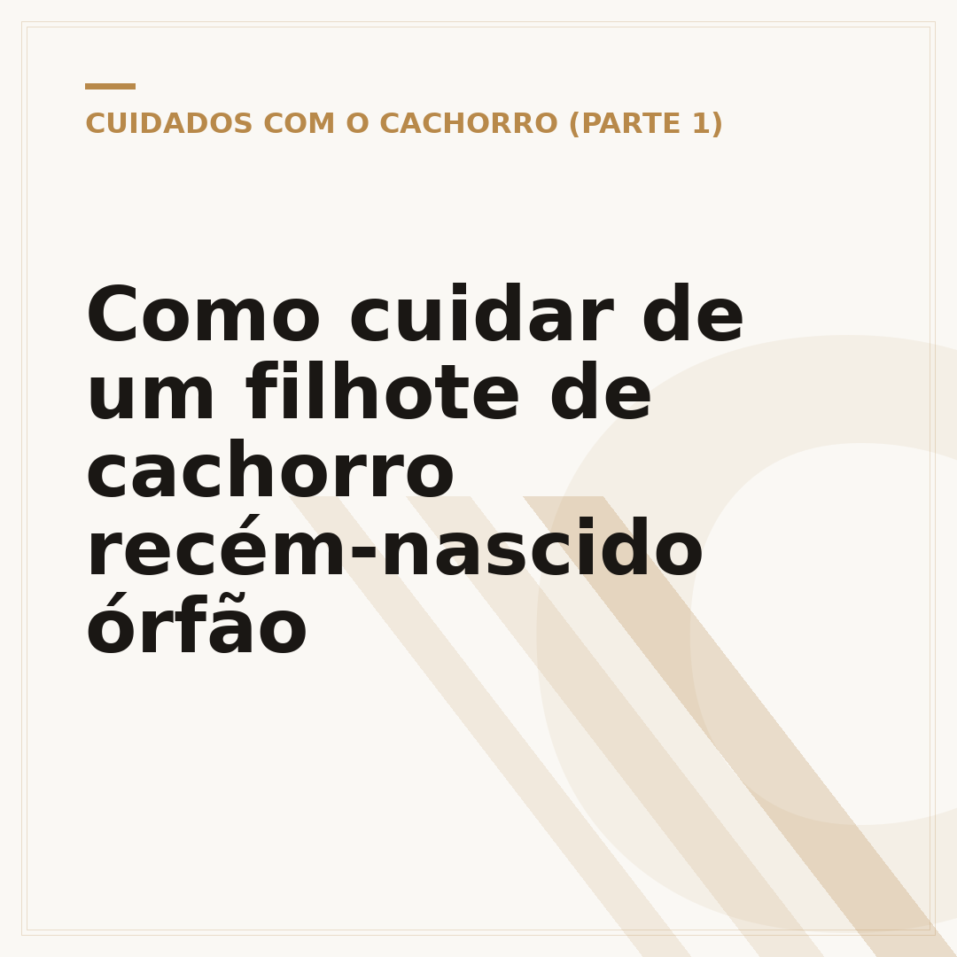 Como cuidar de um filhote de cachorro recém-nascido órfão