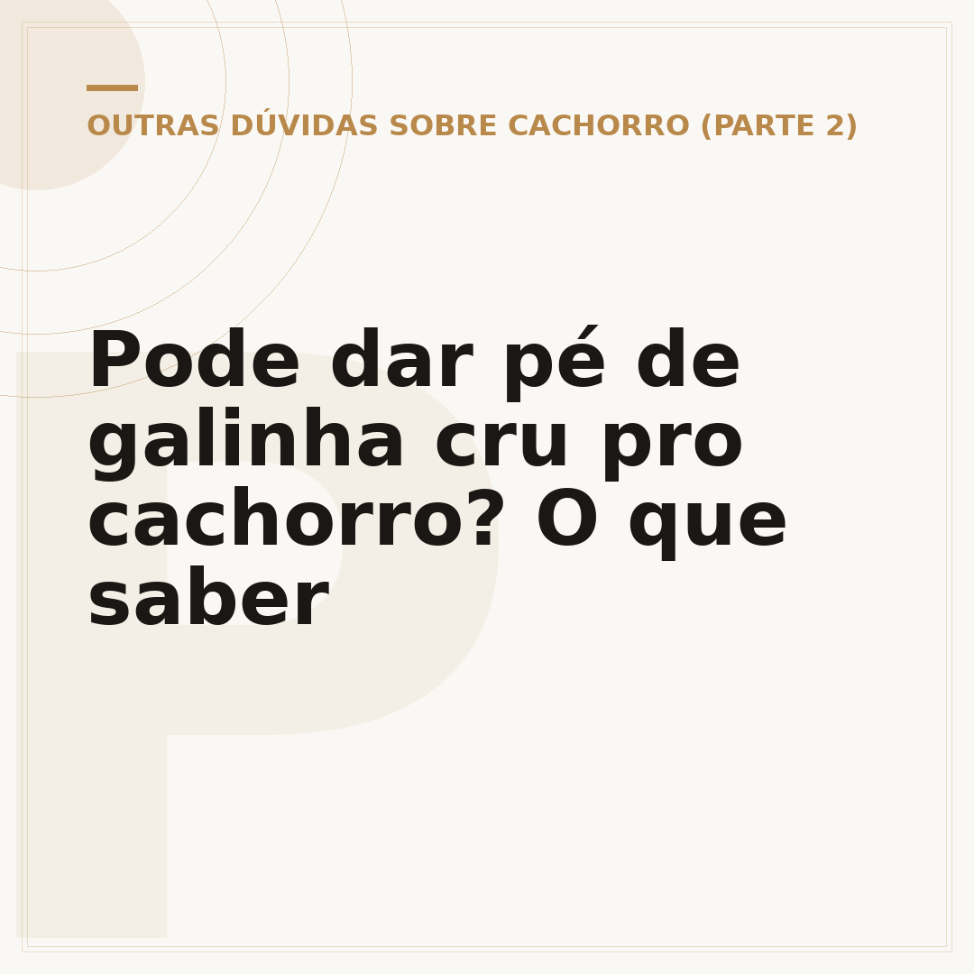 Pode dar pé de galinha cru pro cachorro? O que saber