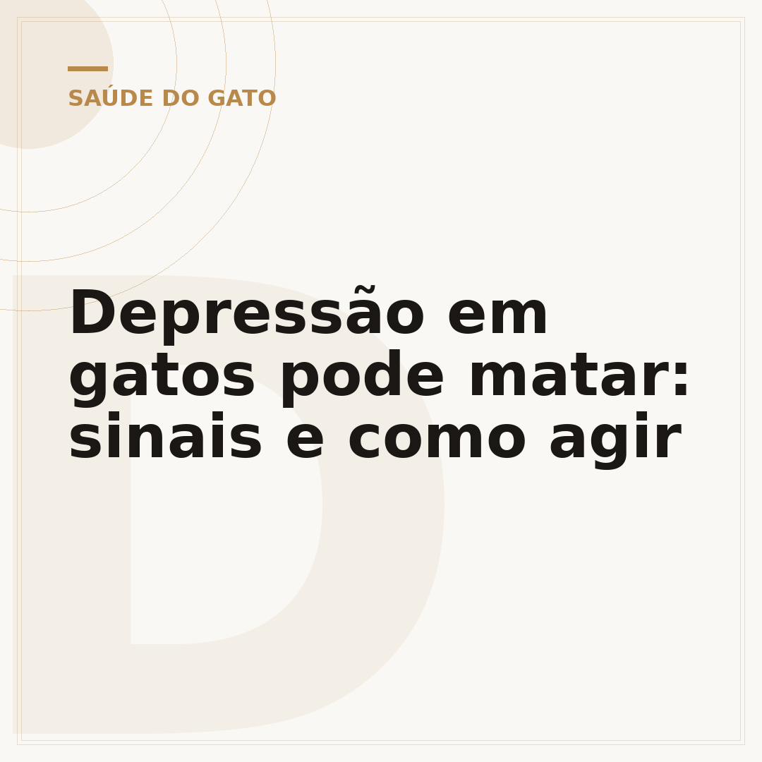 Depressão em gatos pode matar: sinais e como agir