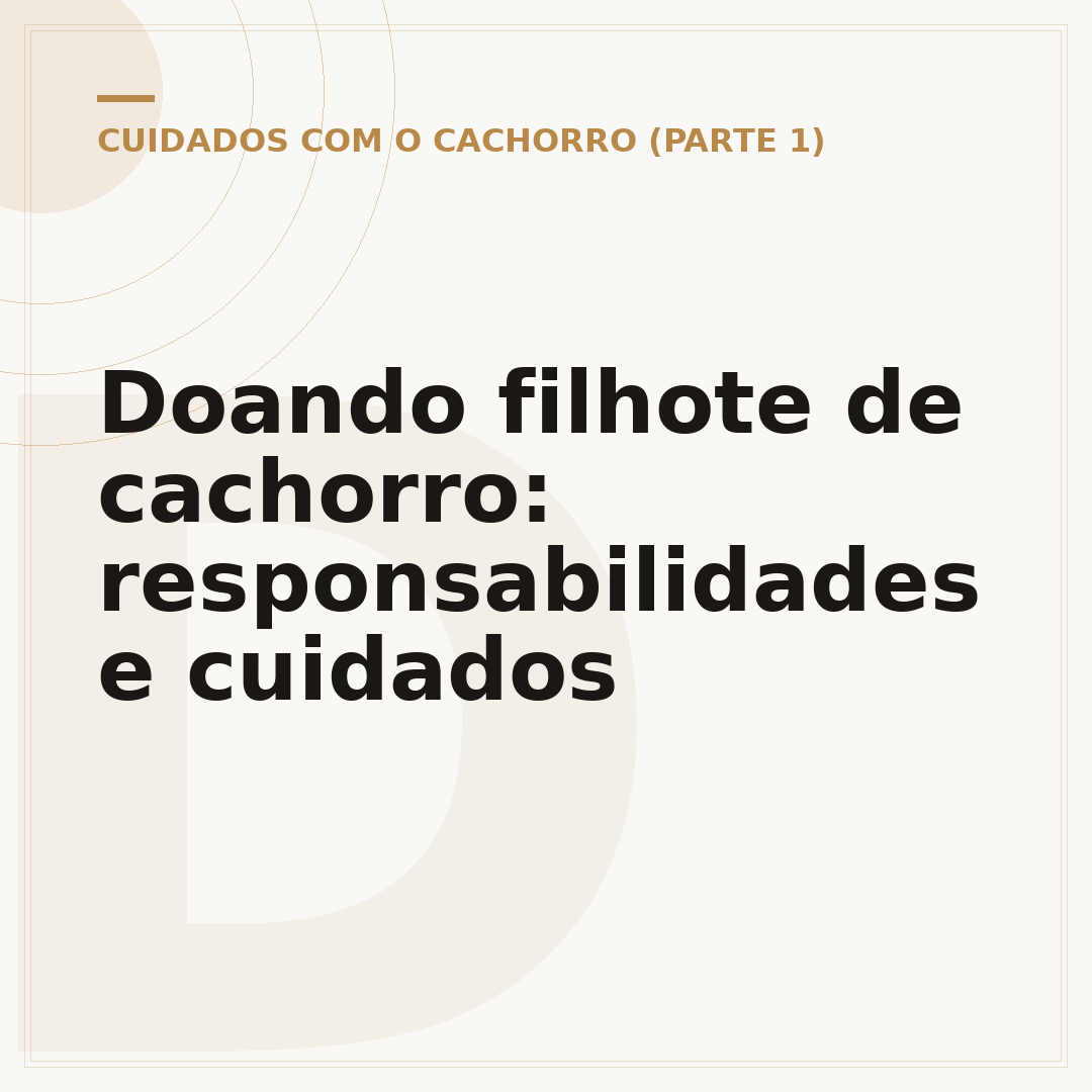 Doando filhote de cachorro: responsabilidades e cuidados