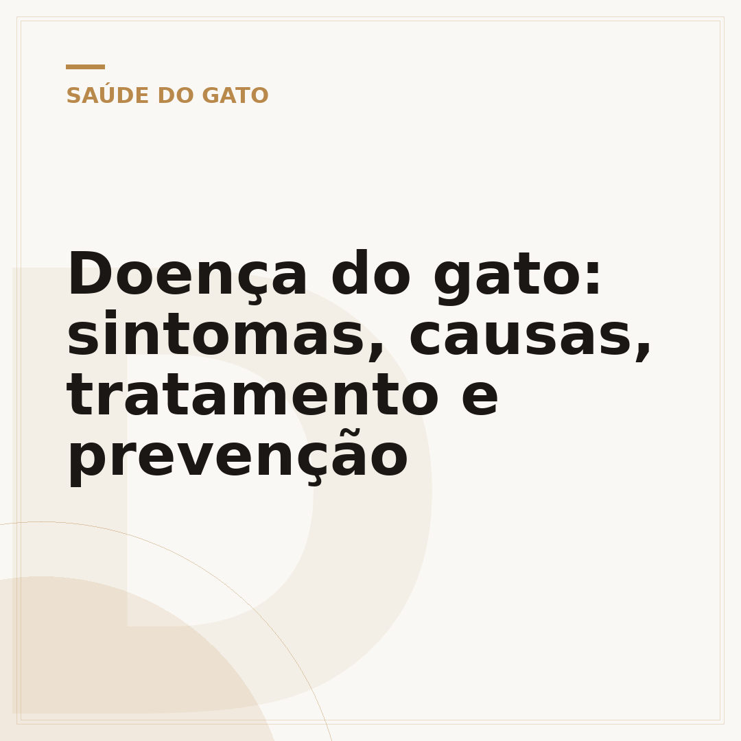 Doença do gato: sintomas, causas, tratamento e prevenção