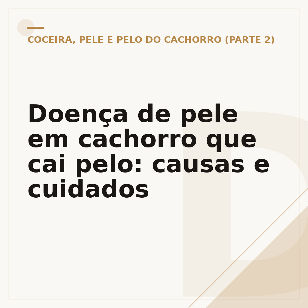 Doença de pele em cachorro que cai pelo: causas e cuidados