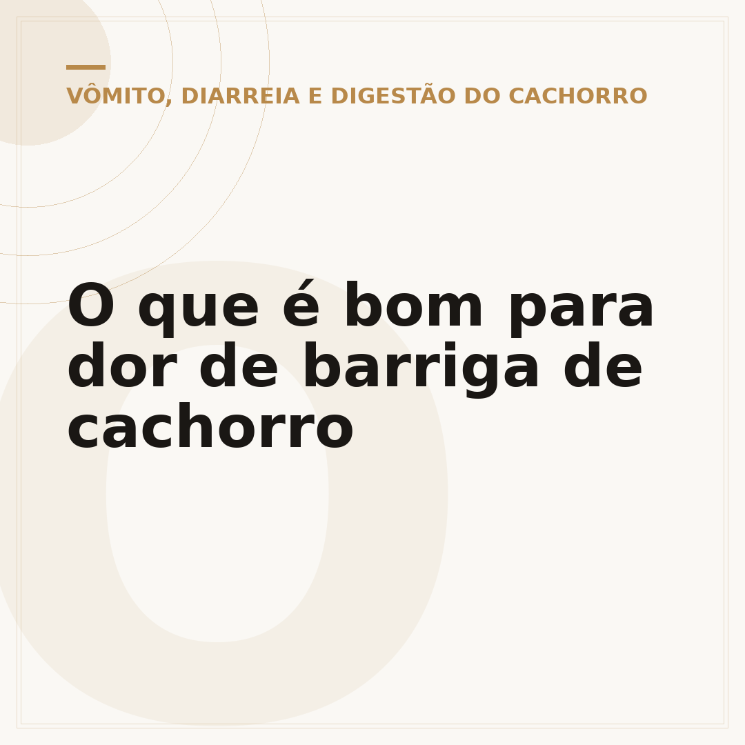 O que é bom para dor de barriga de cachorro