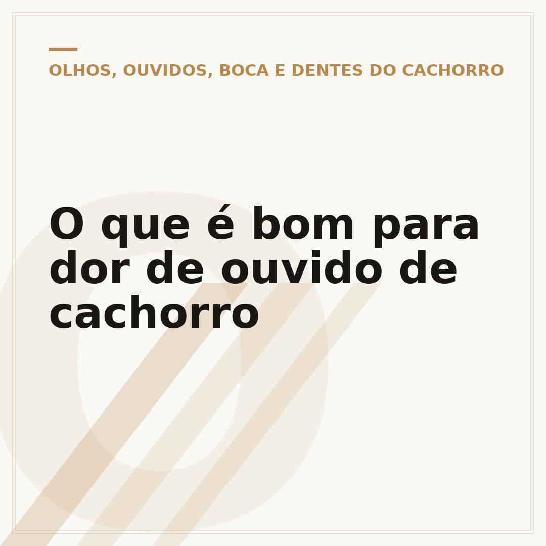 O que é bom para dor de ouvido de cachorro