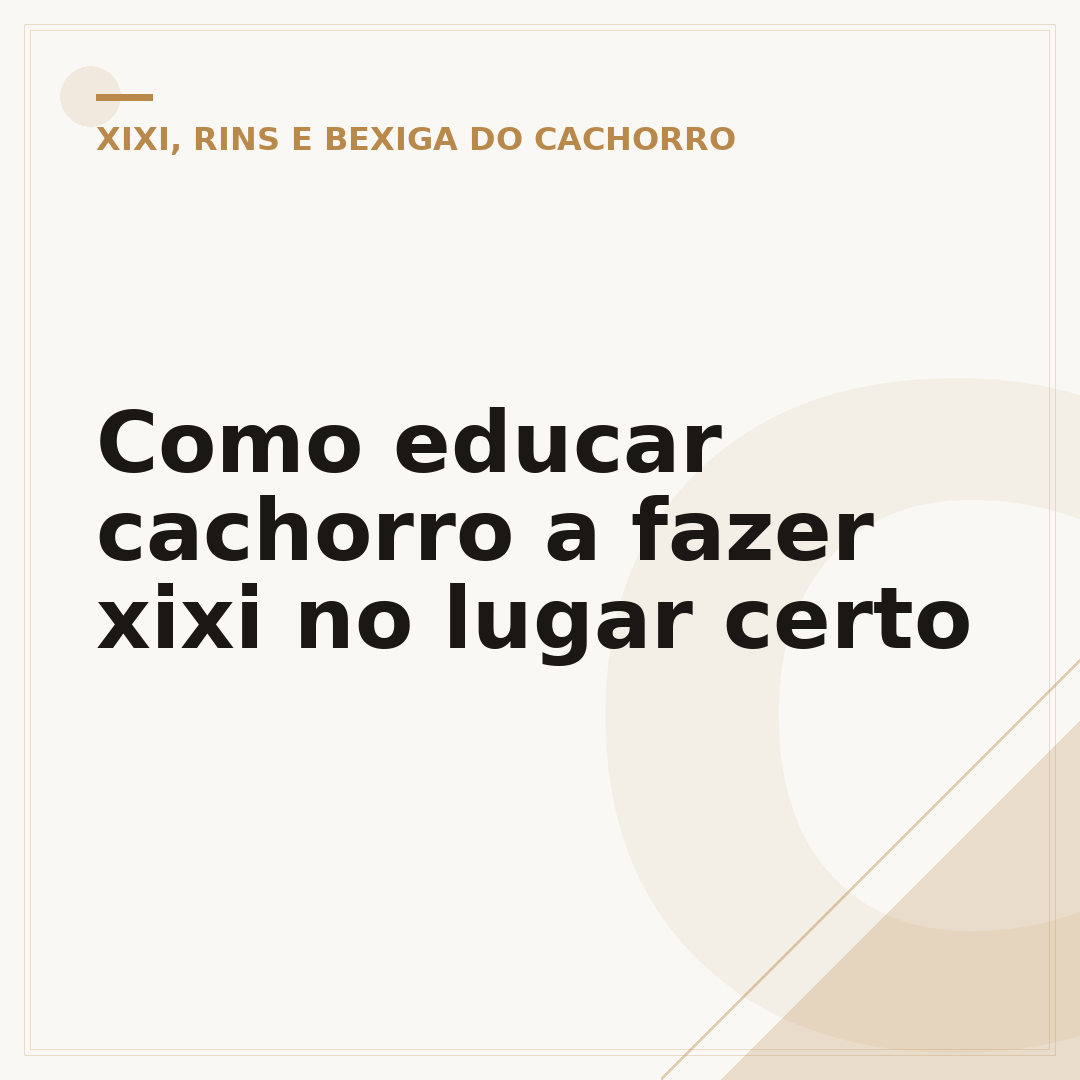 Como educar cachorro a fazer xixi no lugar certo