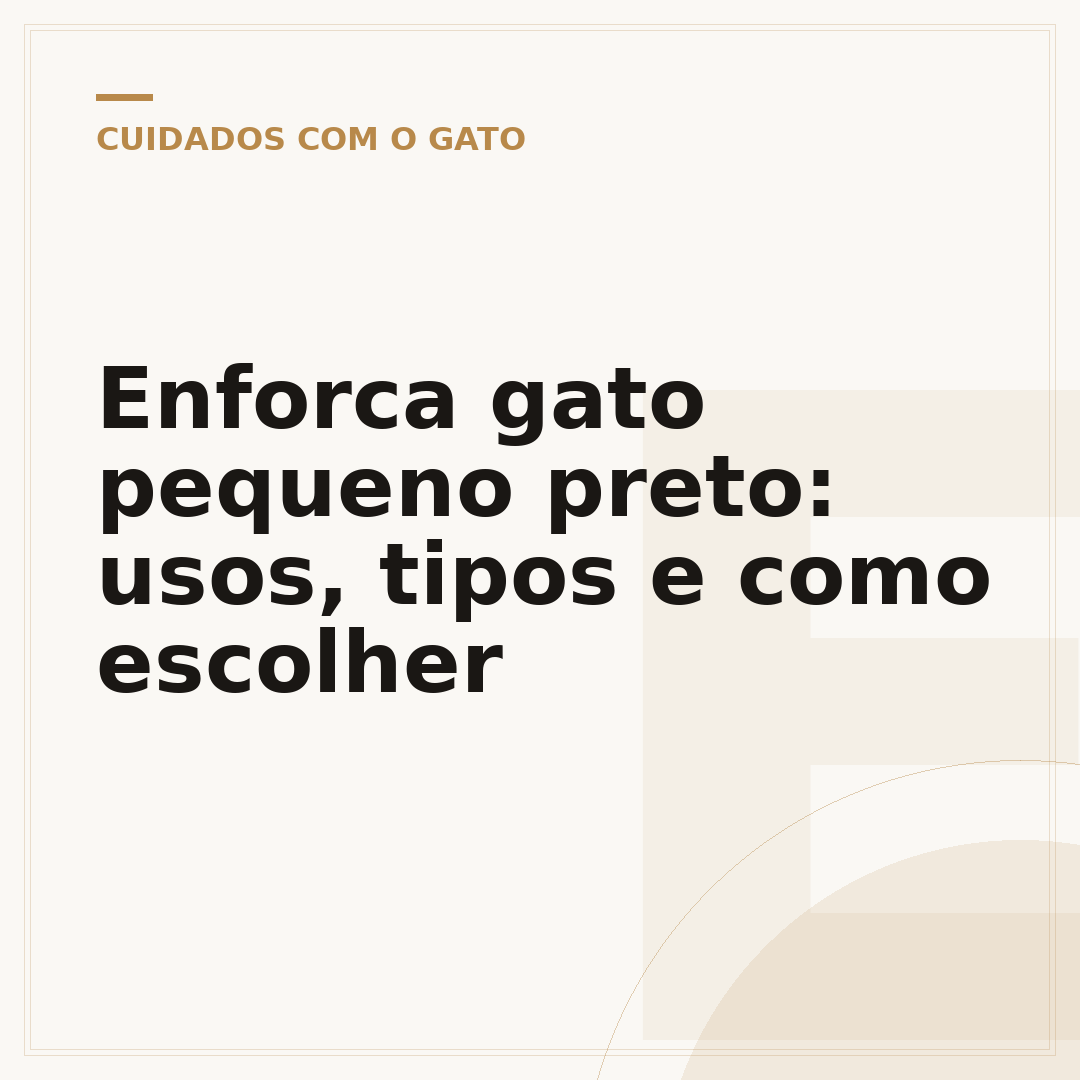 Enforca gato pequeno preto: usos, tipos e como escolher