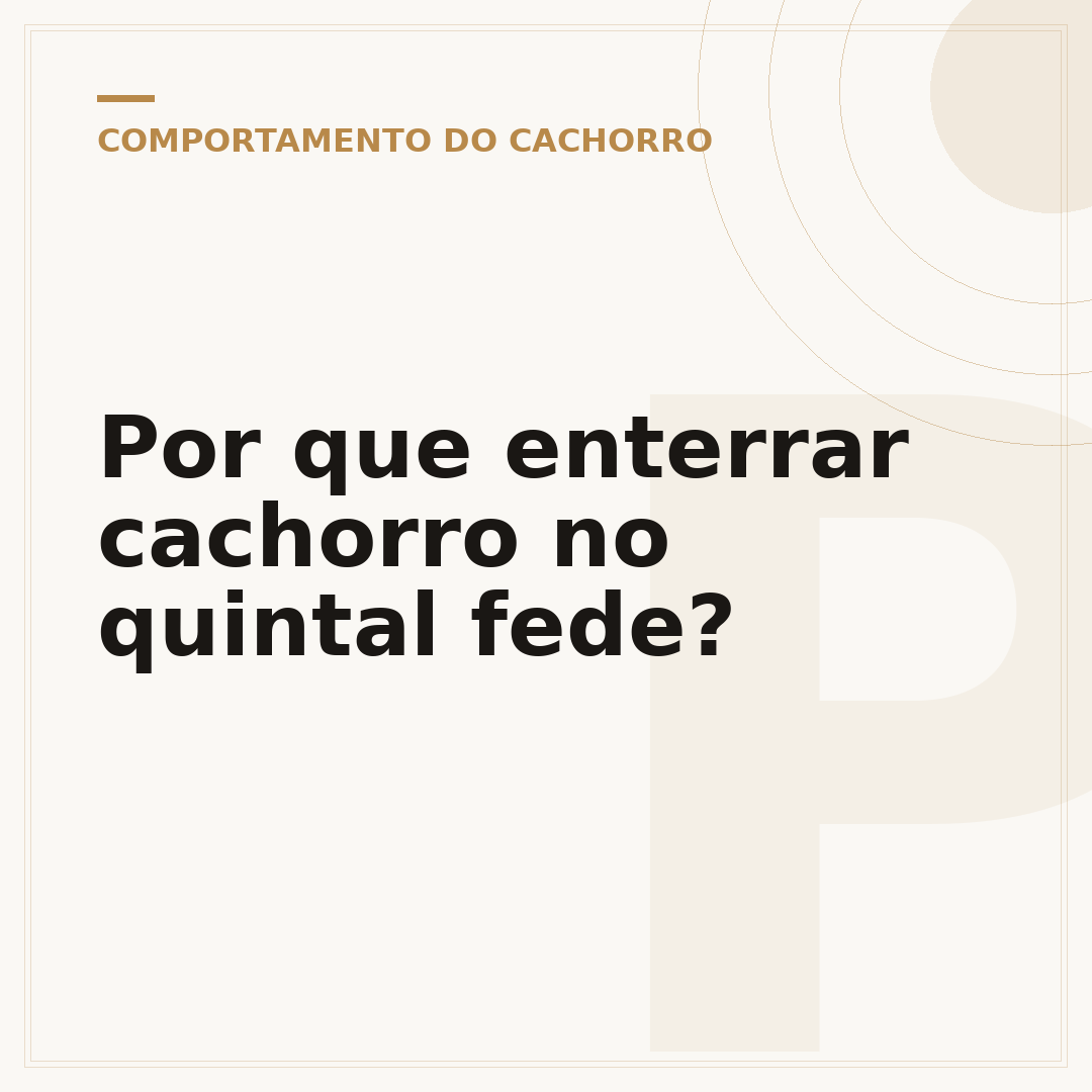 Por que enterrar cachorro no quintal fede?