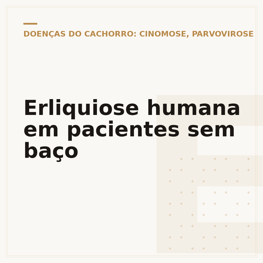 Erliquiose humana em pacientes sem baço